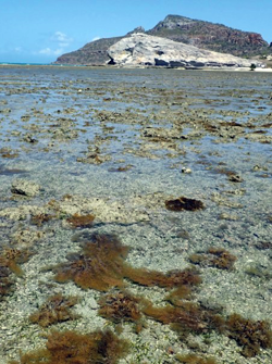 Stanley Island, Cape York