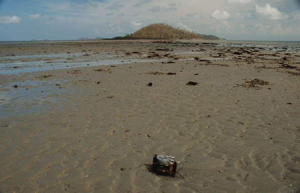 Dunk Island recovery 2021