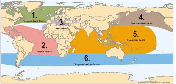 Bio Region